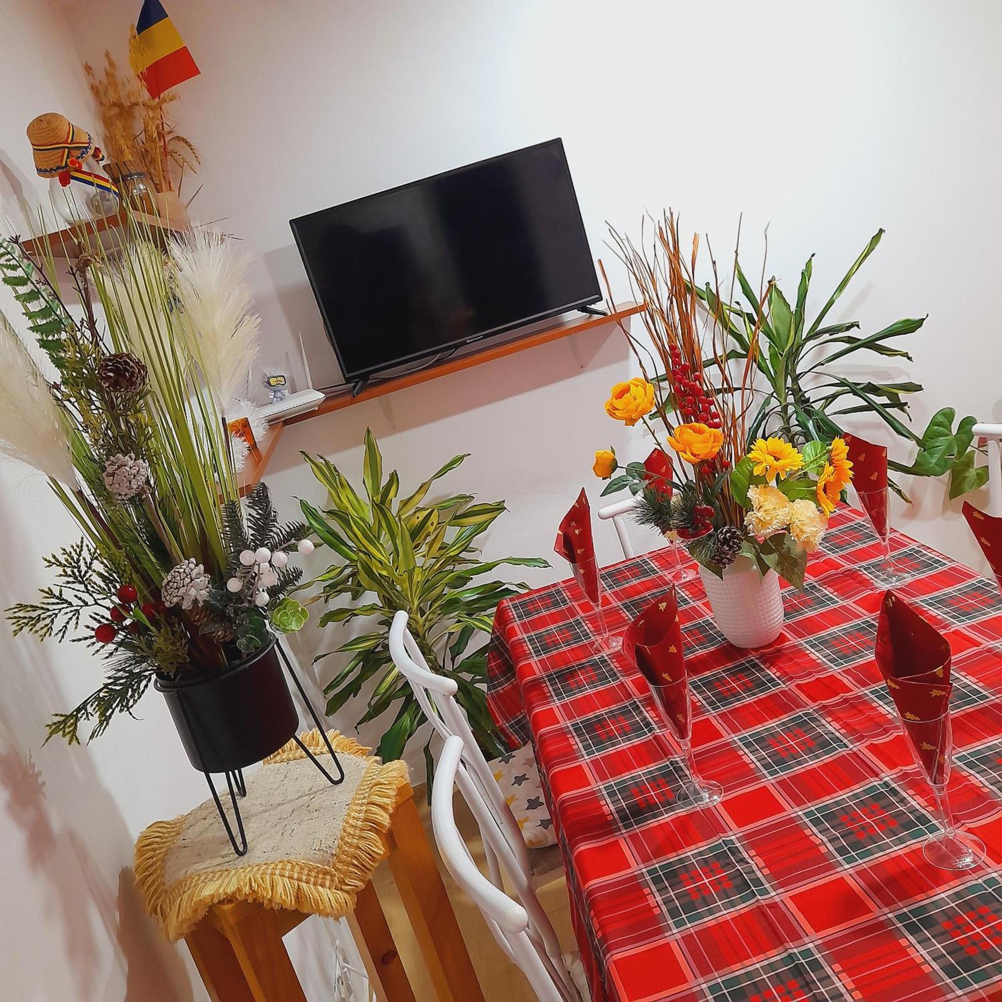 Apartment Boulevard Cetate Alba Iulia Zimmer foto